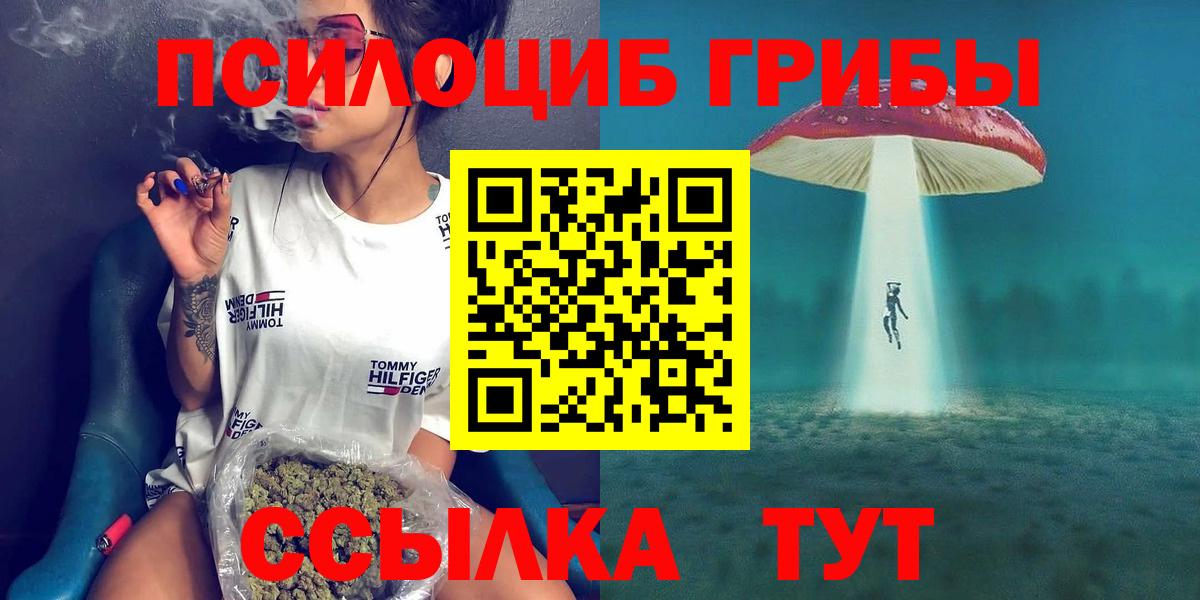 наркотики  Вход с VPN  Псилоцибиновые грибы GOLDEN TEACHER  Дзержинский  Псилоцибиновые грибы MAGIC MUSHROOMS 