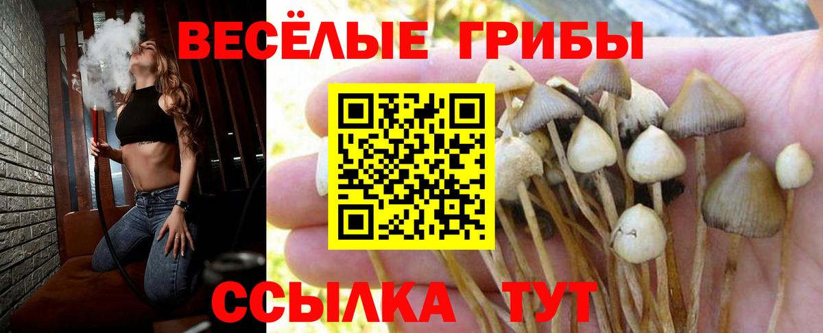 Псилоцибиновые грибы GOLDEN TEACHER Дзержинский